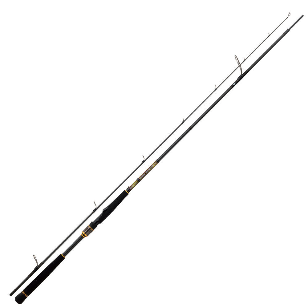 Canne Lancer Daiwa Morethan Branzino Ags 70 HFS 2,13m 14-42g