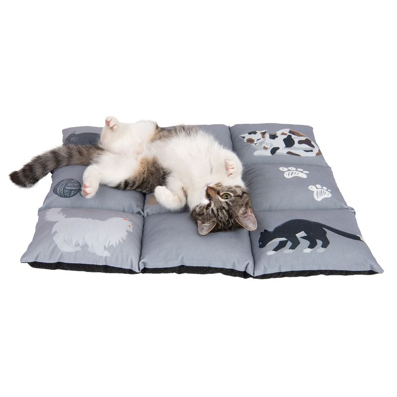 Katzenkissen Medley zu TOP-Preisen