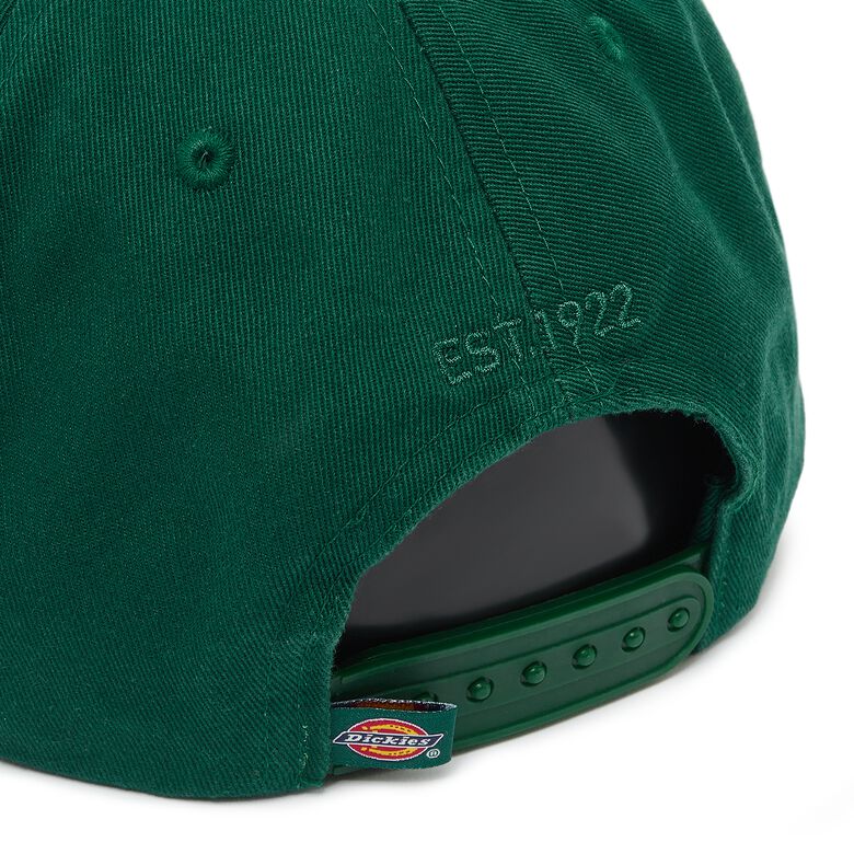 Dickies Hardwick aventurine