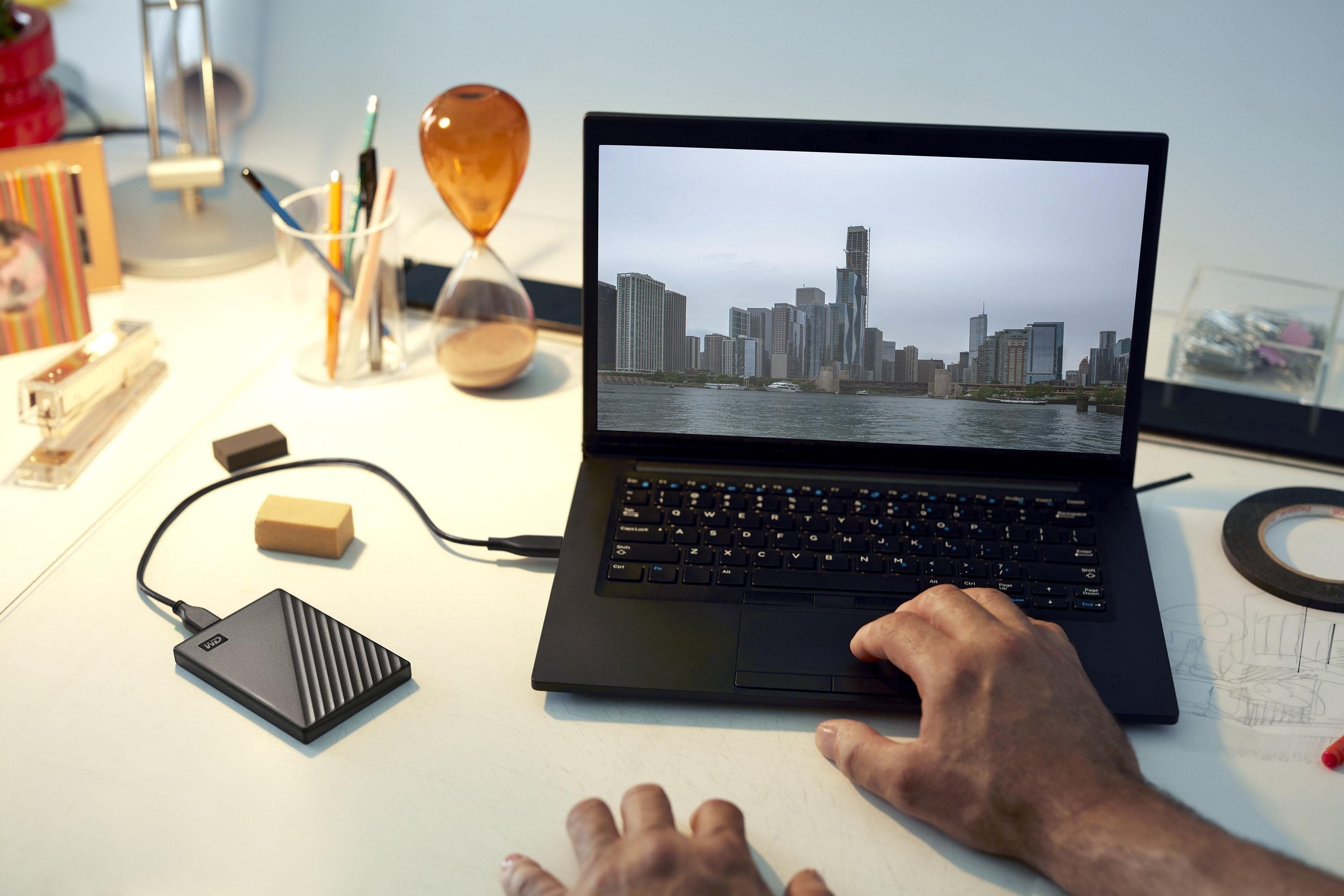 WD My Passport externe HDD-Festplatte (1 TB)
