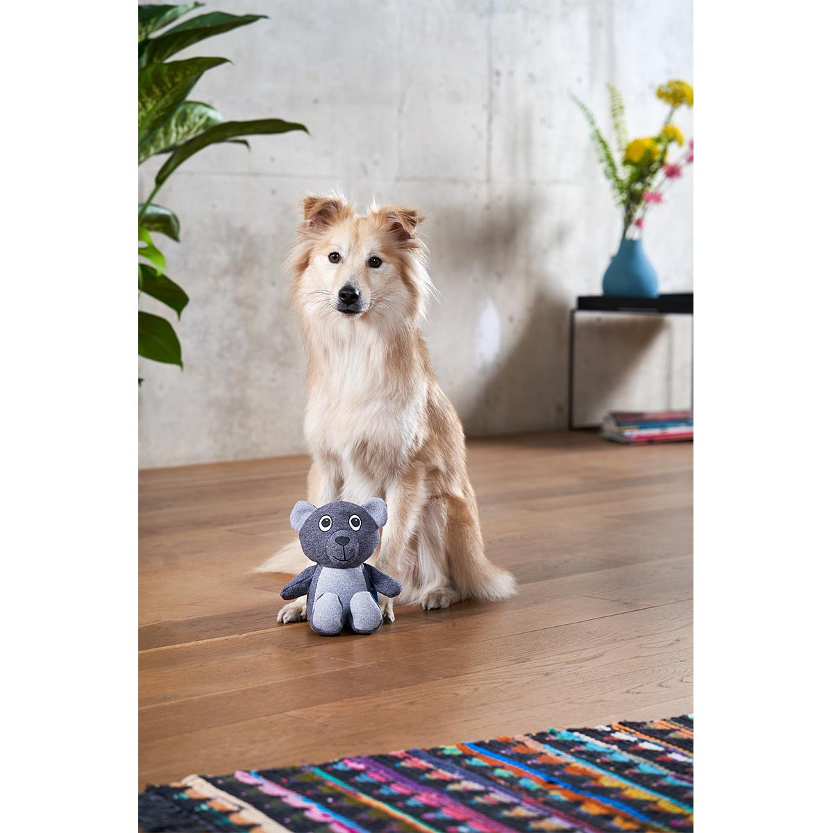ZooRoyal Hundespielzeug Bär anthrazit & grau kaufen