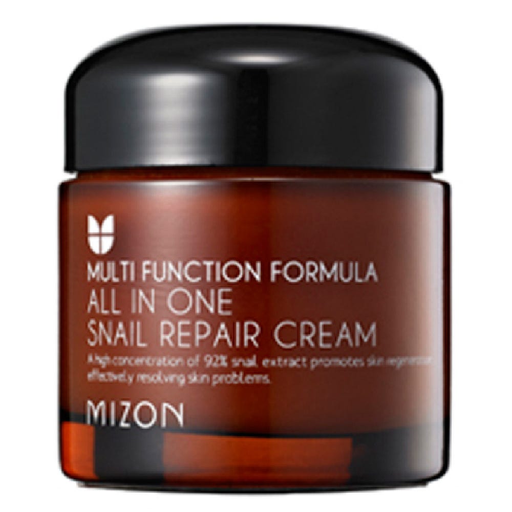 Mizon All in One Snail Repair Cream 75 g