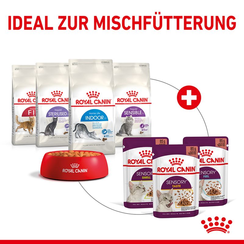 Royal Canin Sensory Smell in Soße zu TOP-Preisen