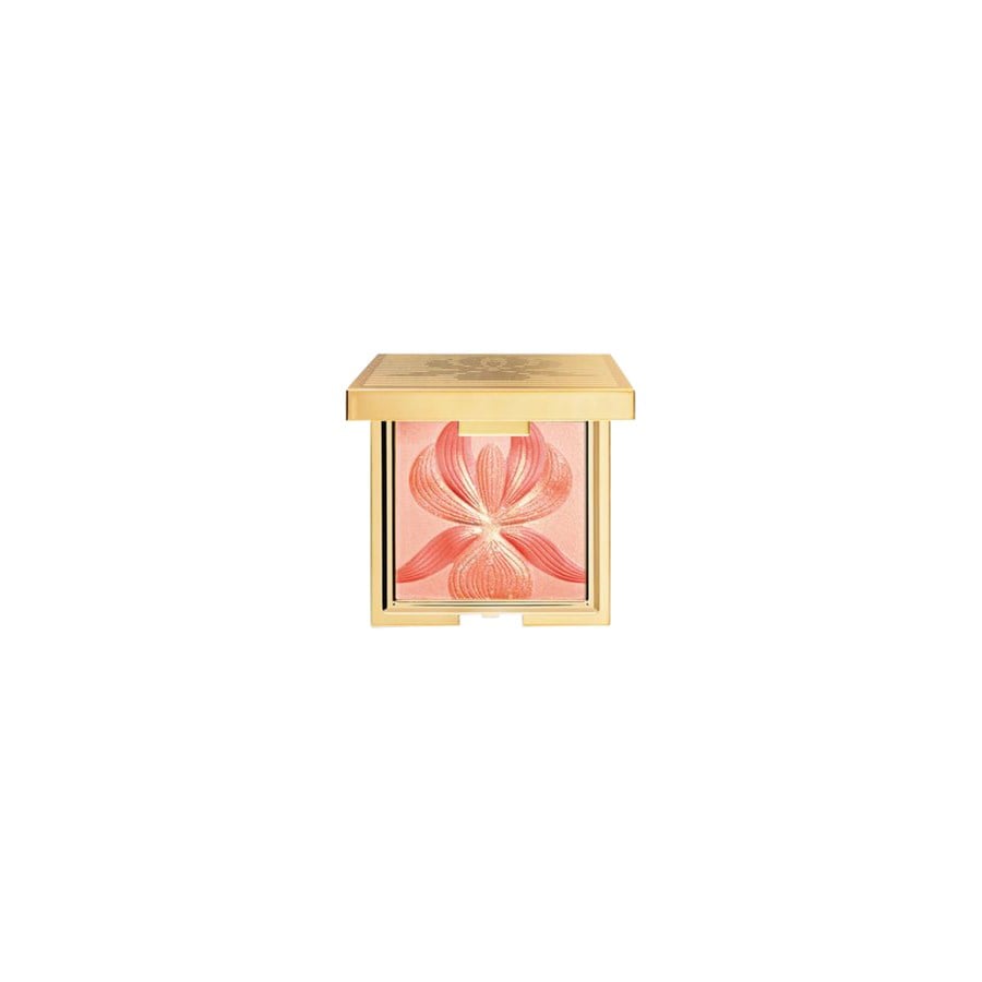 Highlighter Blush