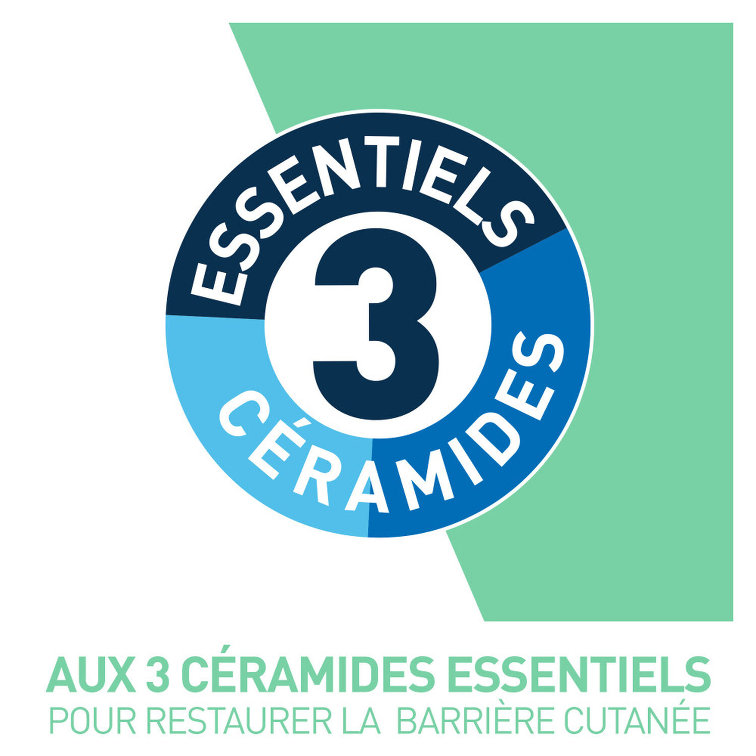 Cerave Gel Moussant Elimine l'Excès de Sébum