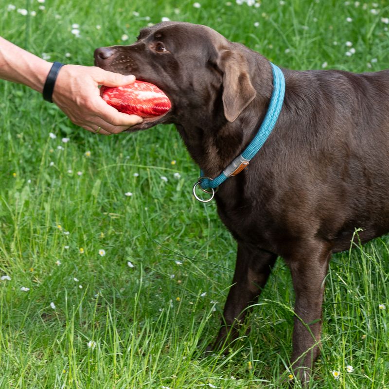 TIAKI Hundespielzeug Steak zu TOP-Preisen