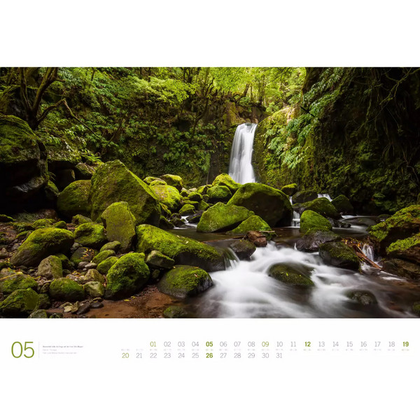 WALD - ACKERMANN GALLERY KALENDER 2024 - Kalender