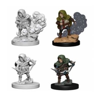 Halfling Male Rouge: D&D Nolzurs Marvelous Unpainted Minis