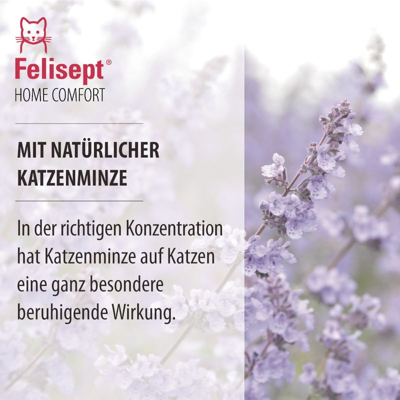 Felisept Home Comfort Set - Beruhigung für Katzen