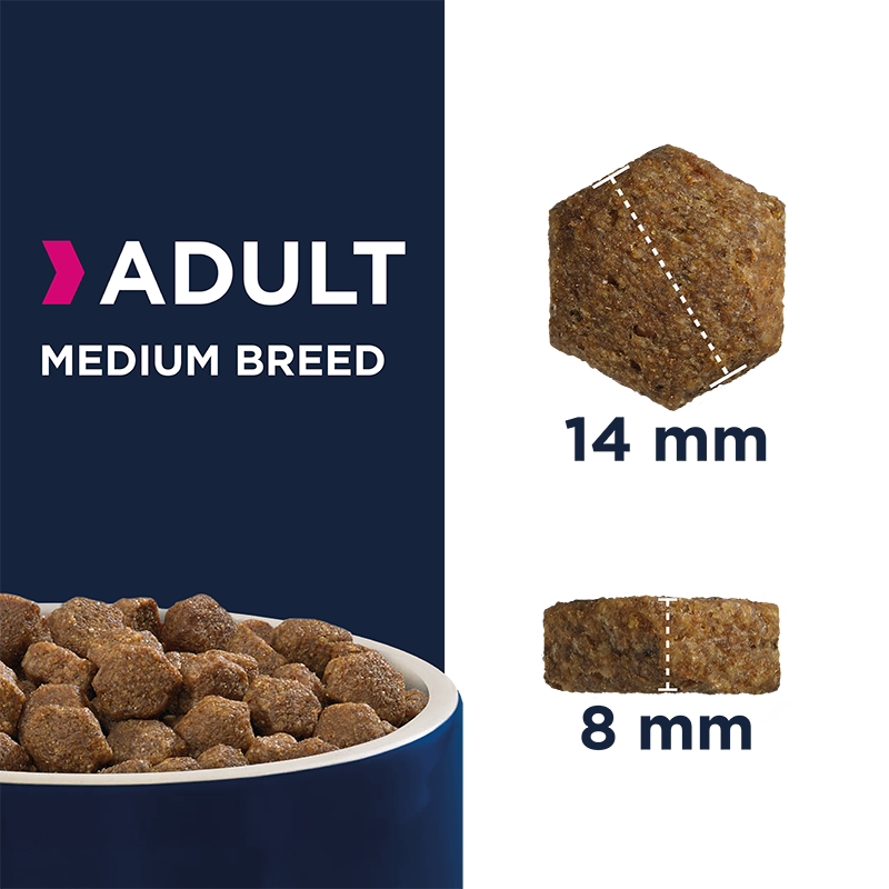 EUKANUBA Hundetrockenfutter EUKANUBA Active Adult Medium Breed mit Huhn 3 kg