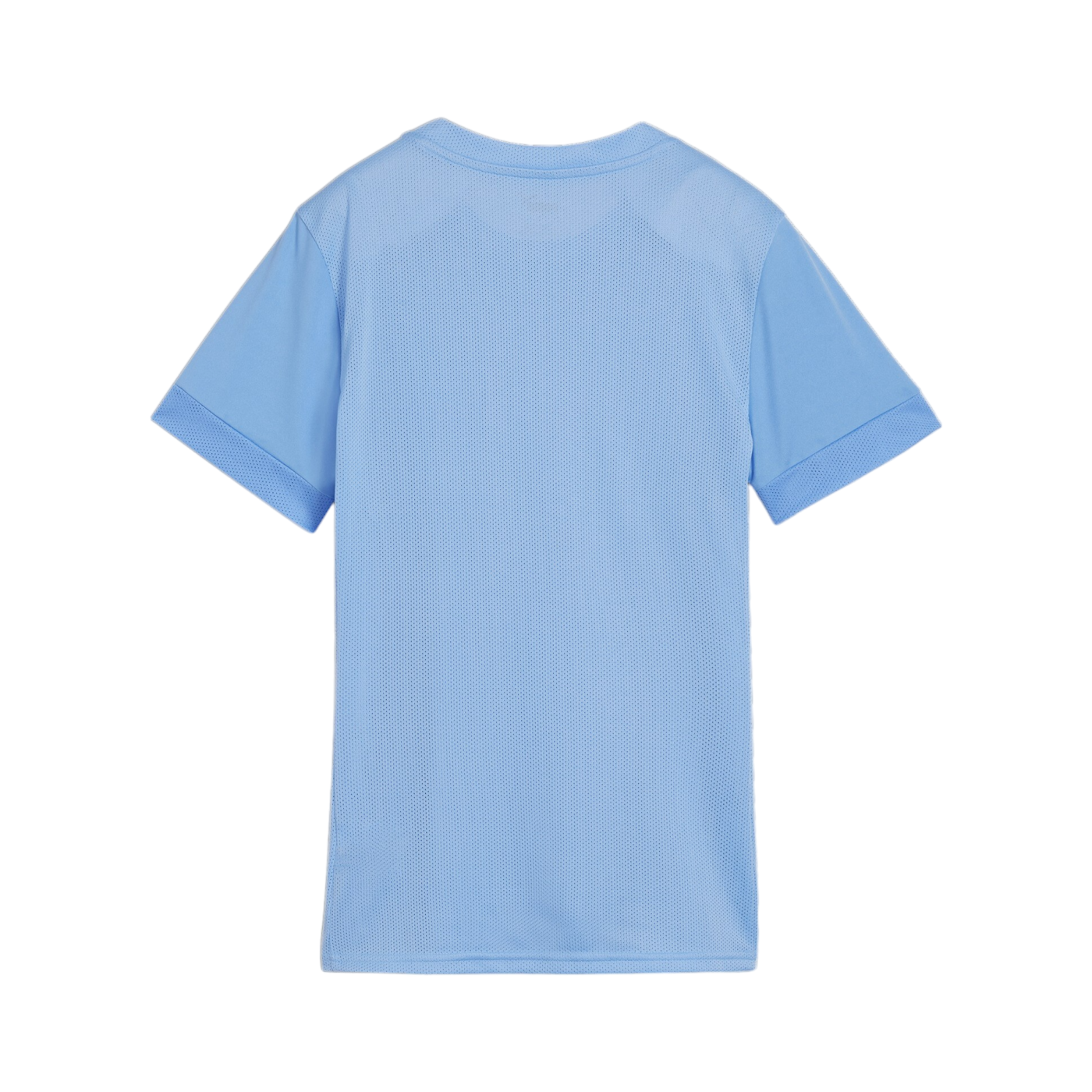 PUMA teamGOAL Matchday Trikot Damen Blau Weiss F18