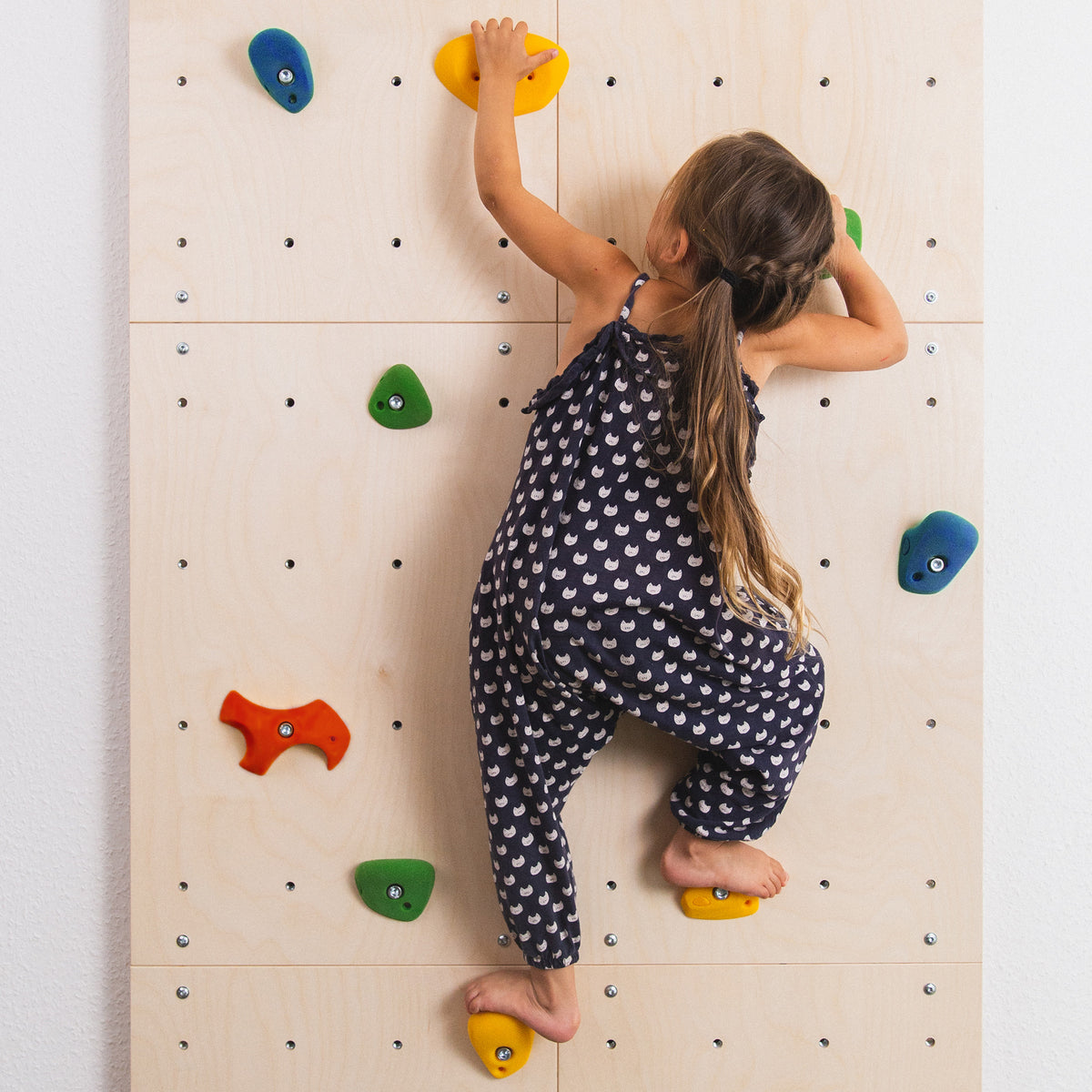 Klettergriffe 10er Set