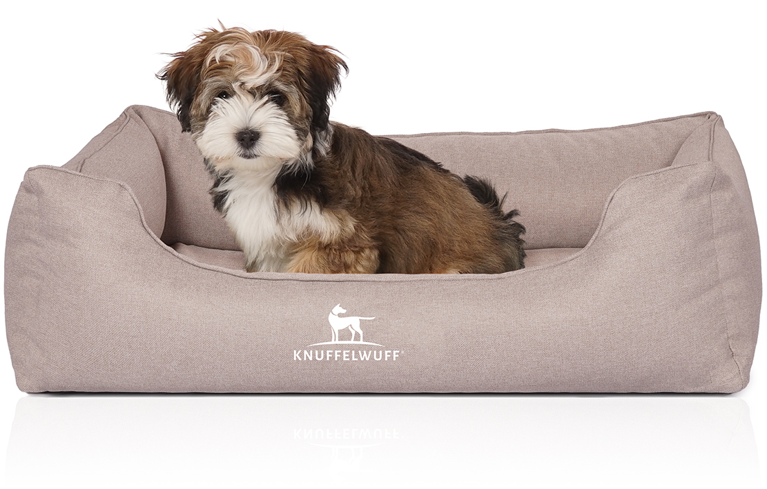 Knuffelwuff Hundebetten Knuffelwuff Orthopädisches Hundebett Luisa aus Velours mit feinem Handwebcharakter Sunshine Edition beige M-L