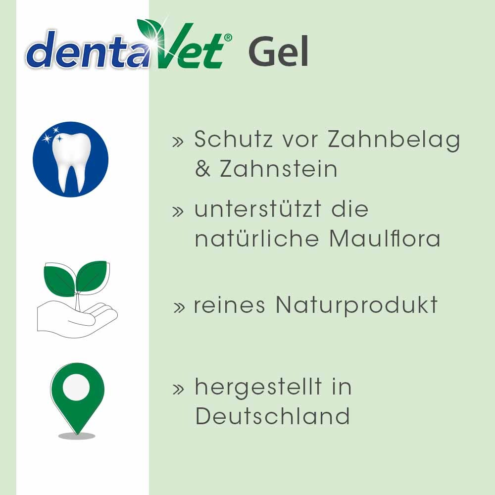 dentaVet Zahnpflege dentaVet Gel 25ml
