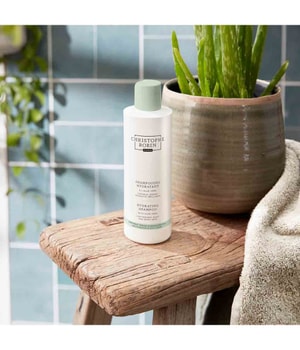 Christophe Robin Hydrating Shampoo With Aloe Vera Haarshampoo 250 ml