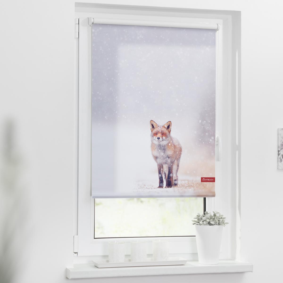 Lichtblick Rollo Klemmfix, ohne Bohren, blickdicht, Fuchs im Schnee - Weiß Rot, 80 cm x 150 cm (B x L)