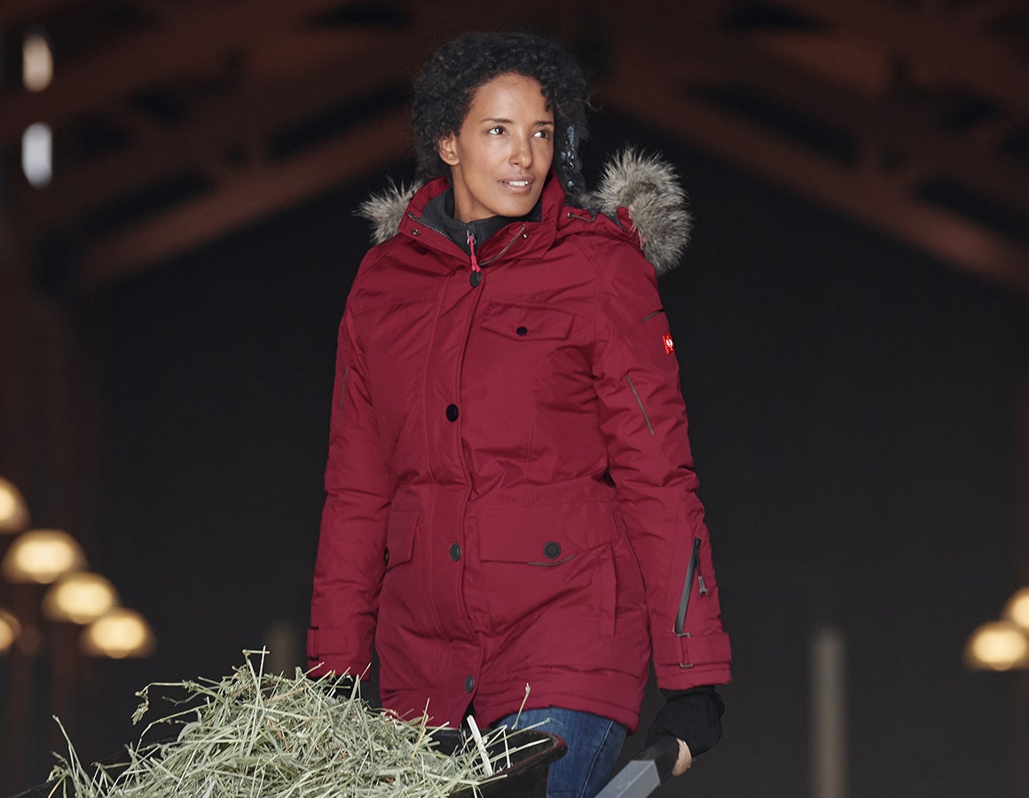 Winter Parka e.s.vision, Damen