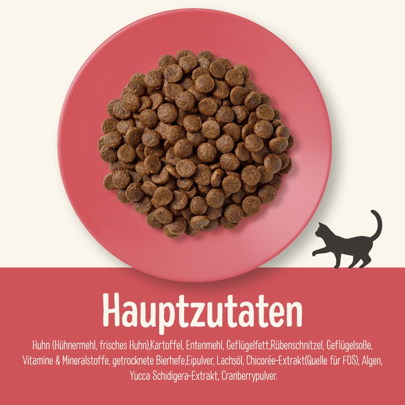 Sparpaket Applaws Trockenfutter zu TOP-Preisen