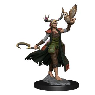 D&D Frameworks: Human Druid Female