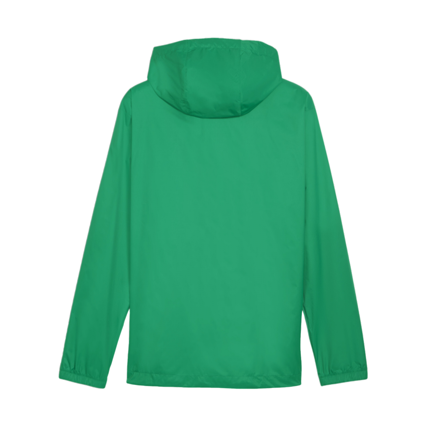 PUMA teamFINAL Allwetterjacke Grün F05