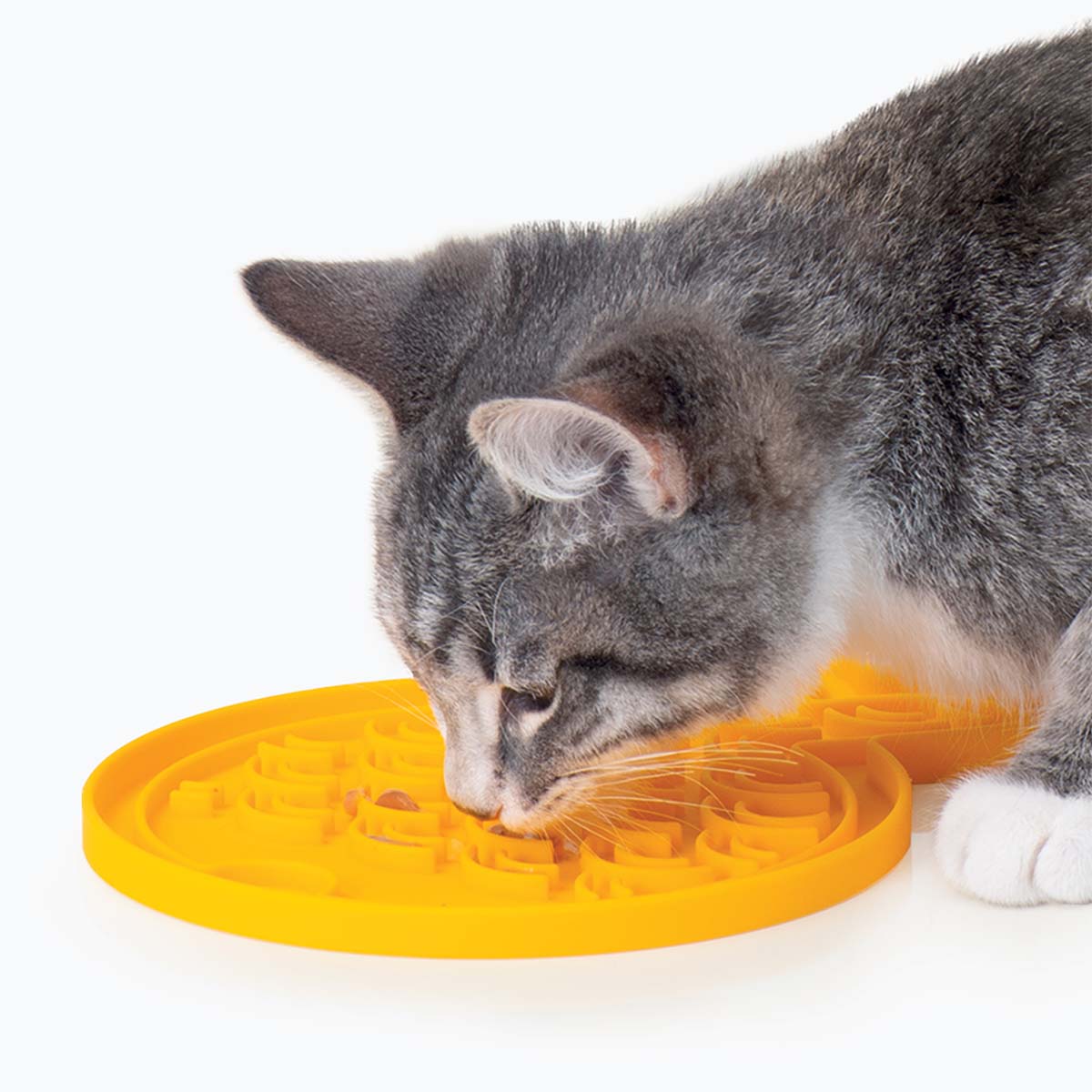 Catit Creamy Futtermatte Fisch günstig kaufen
