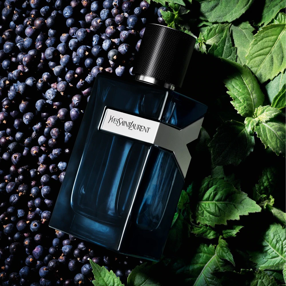 Yves Saint Laurent Intense