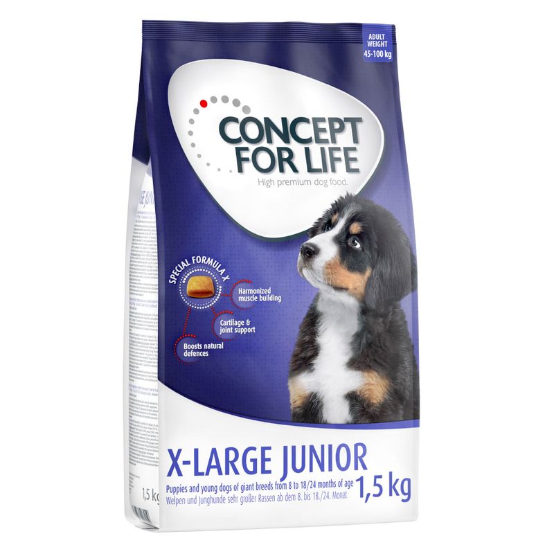 Concept for Life X-Large Junior