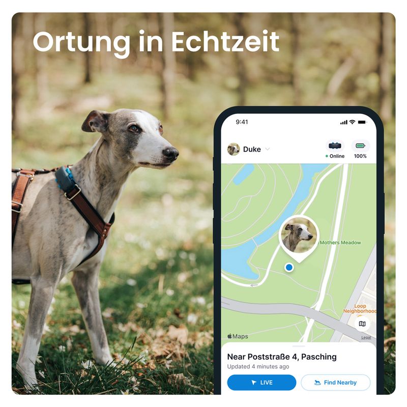 Tractive GPS Tracker für Hunde zu TOP-Preisen