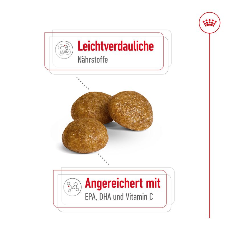Royal Canin X-Small Adult zu TOP-Preisen