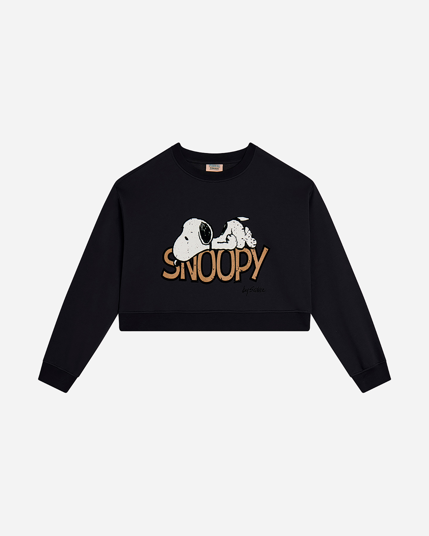 Pluszowy Freddy Peanuts W F4WMCS1-ST1-N-