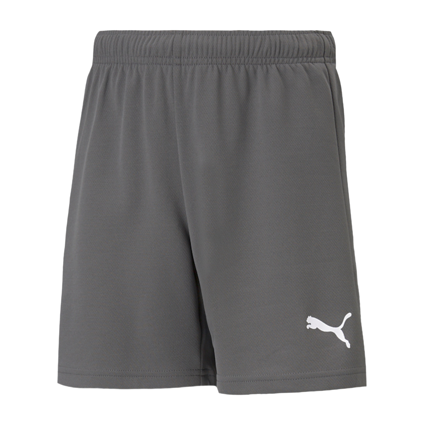 PUMA teamRISE Short Kids Grau Weiss F13