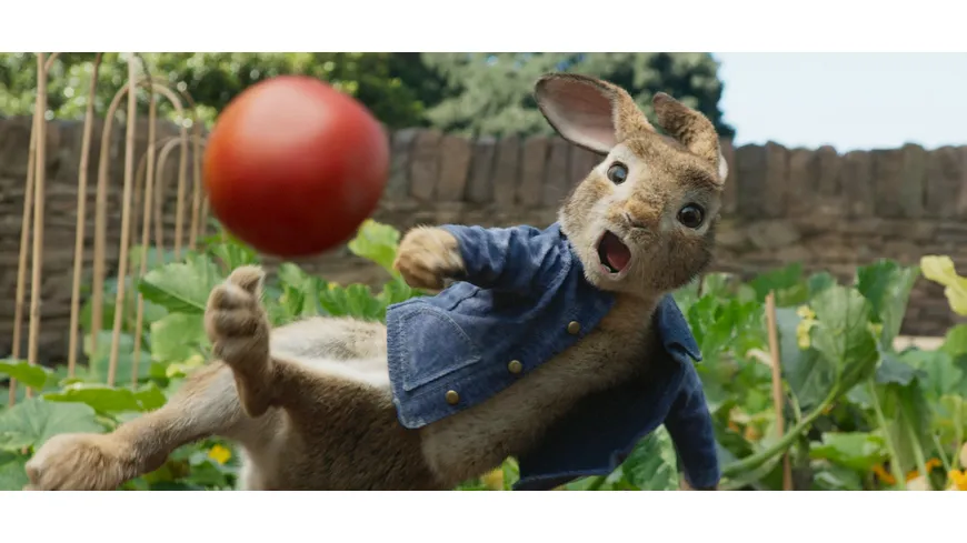 Peter Hase
