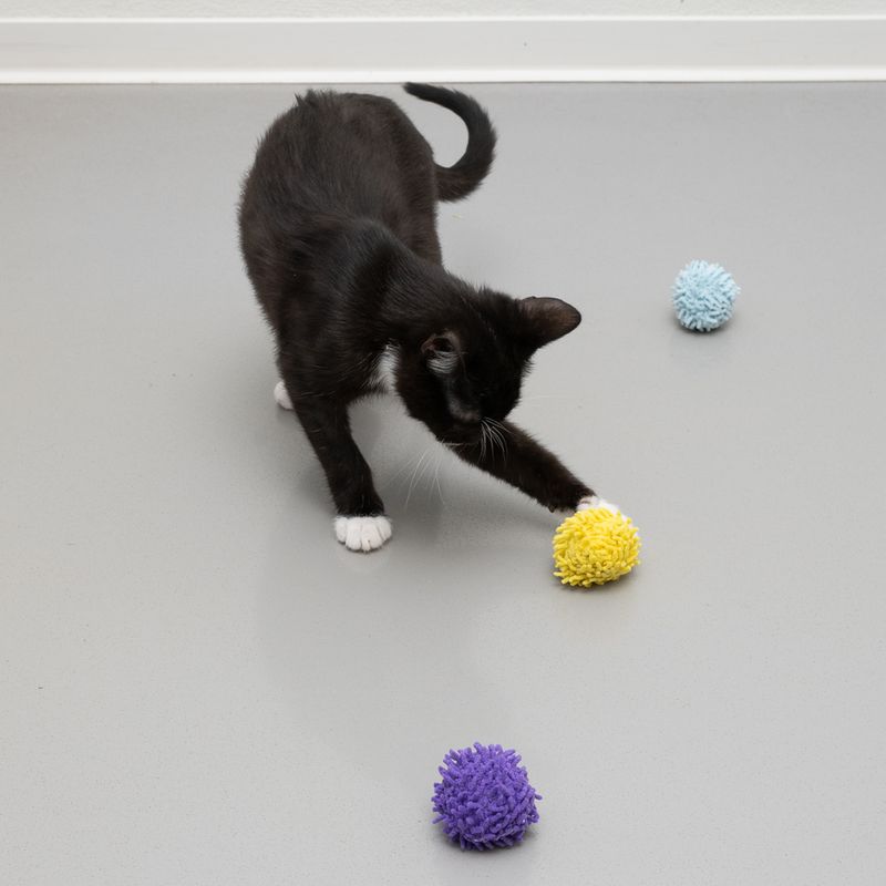 TIAKI Pompon Ball-Set mit Katzenminze zu TOP-Preisen