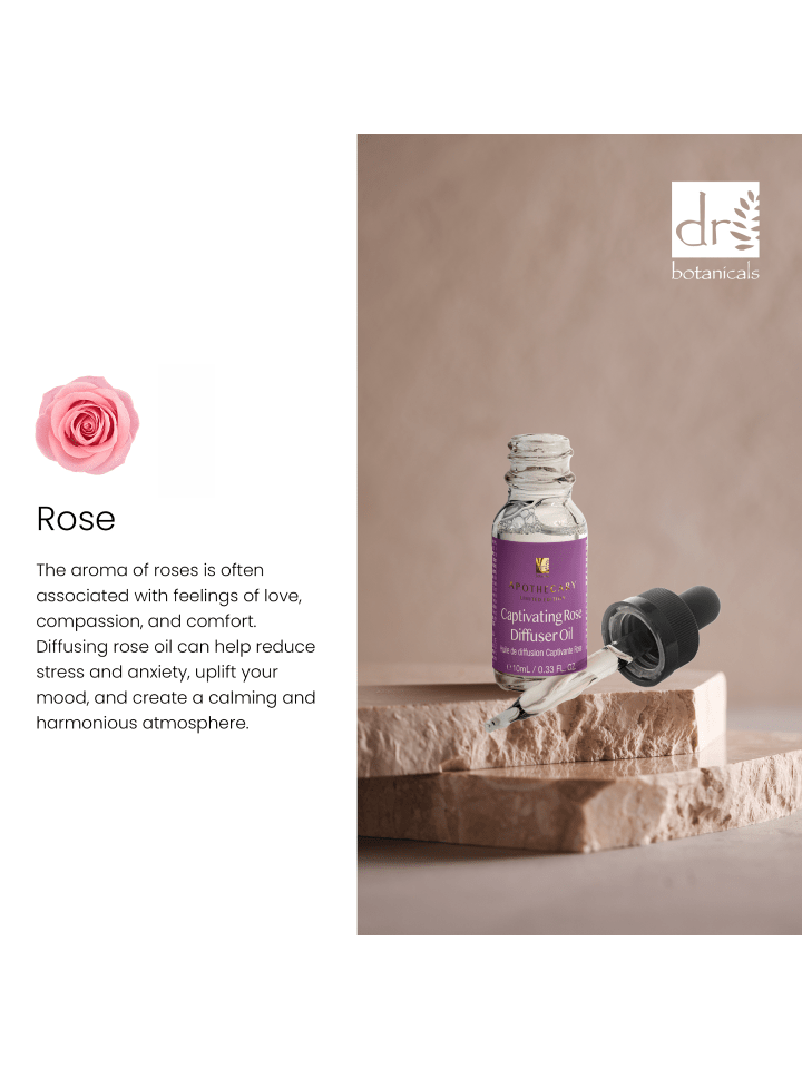 Dr Botanicals Fesselndes Rosen-Diffusor-Öl 10ml günstig kaufen onesize