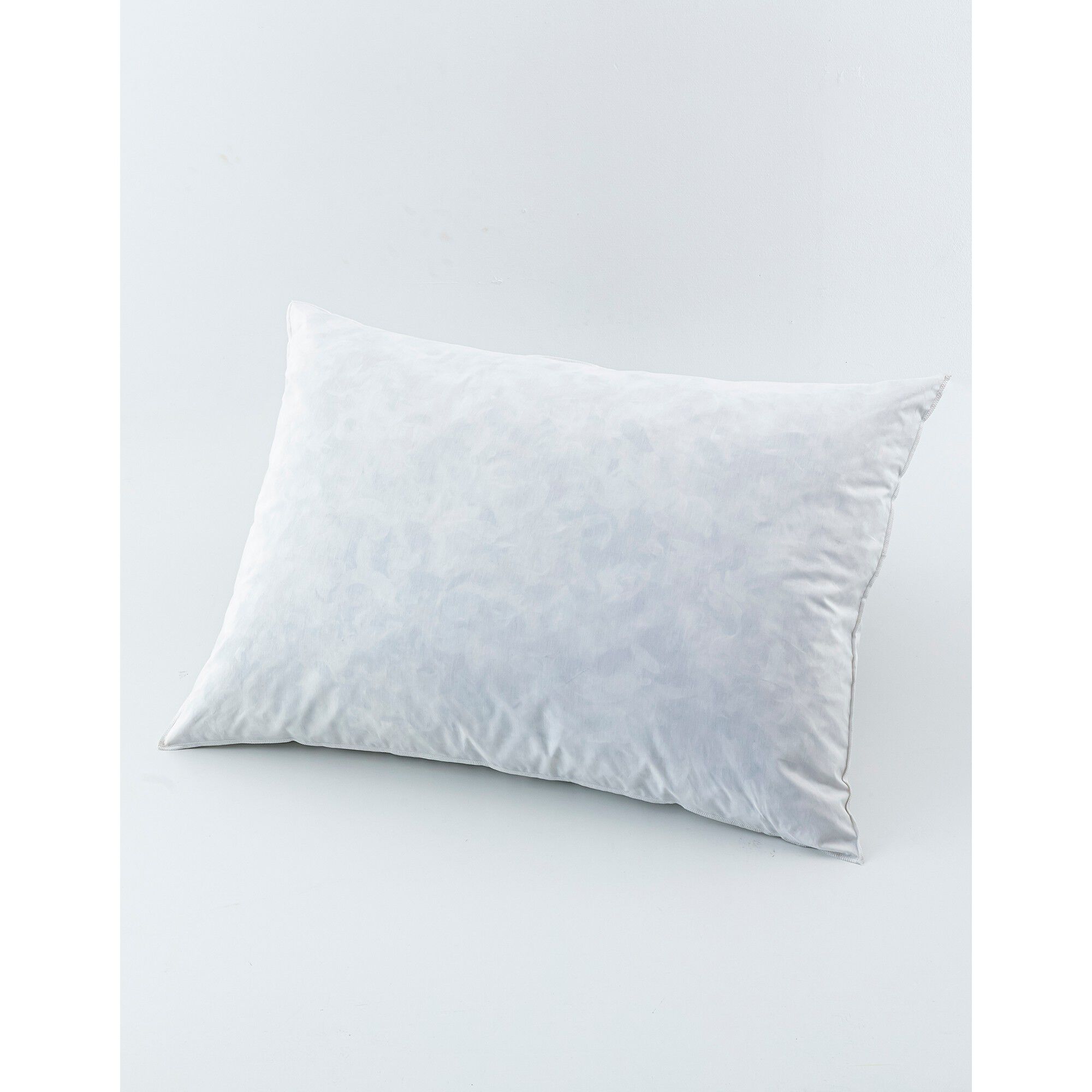 Oreiller plumes en lot de 2