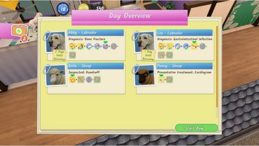 Animal Hospital