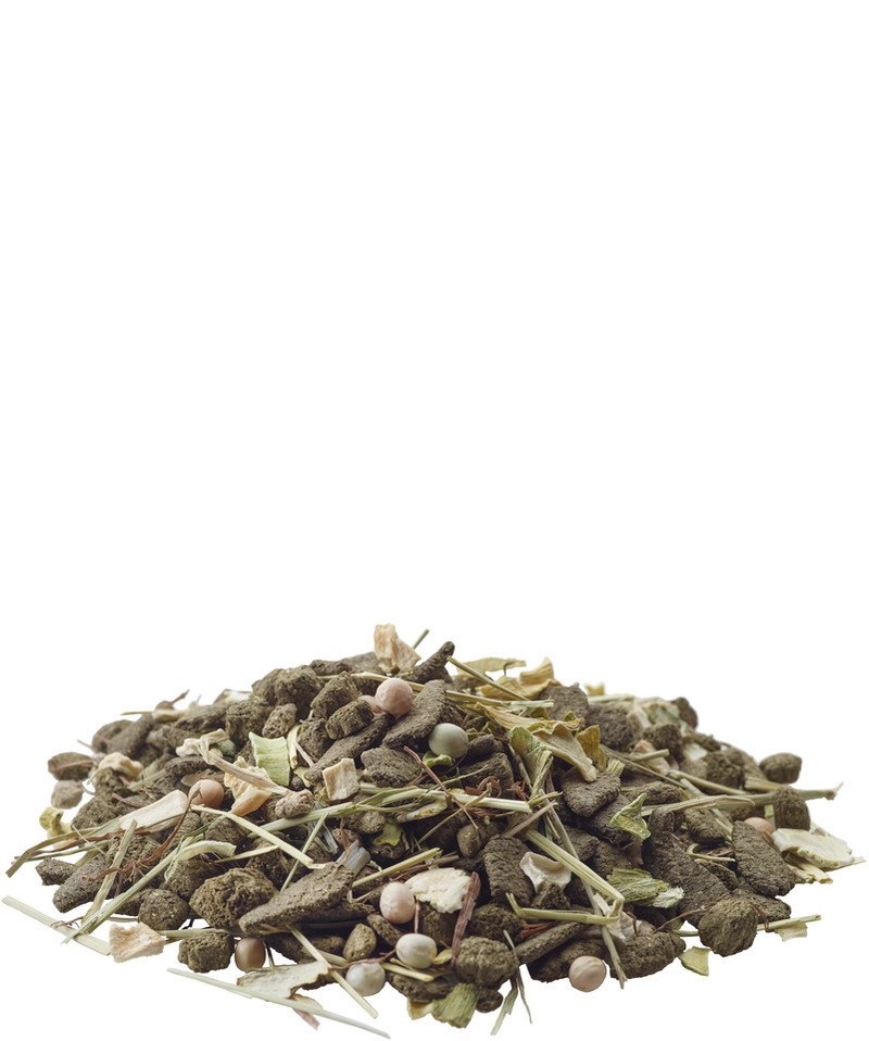 Versele-Laga Hauptfutter Versele-Laga Versele Laga Nature Degu 700g
