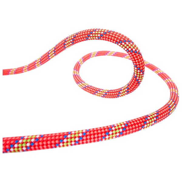 Beal - Tiger 10 mm Golden Dry - Einfachseil