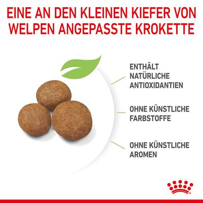 Royal Canin Maxi Puppy
