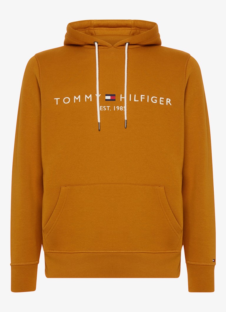 Tommy Hilfiger hoodie with kangaroo pocket and logo embroidery