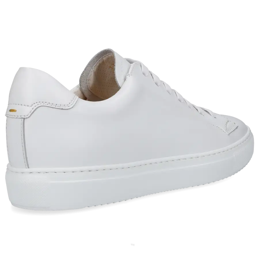 Doucal's - Sneaker low 1796 Kalbsleder - weiß