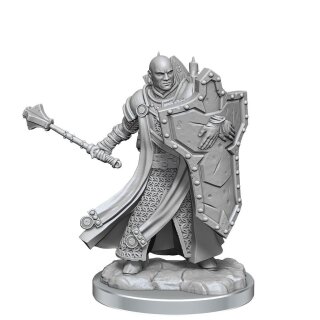 D&D Frameworks: Human Cleric Male