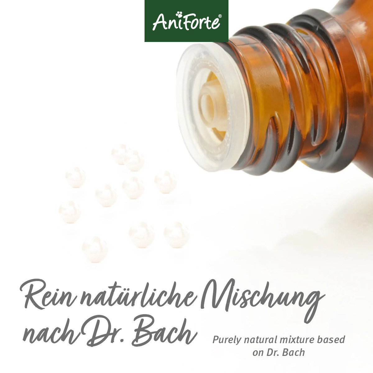 Aniforte Ergänzungsfutter & Aufzucht Aniforte Bachblüten No. 6 Cherry Plum