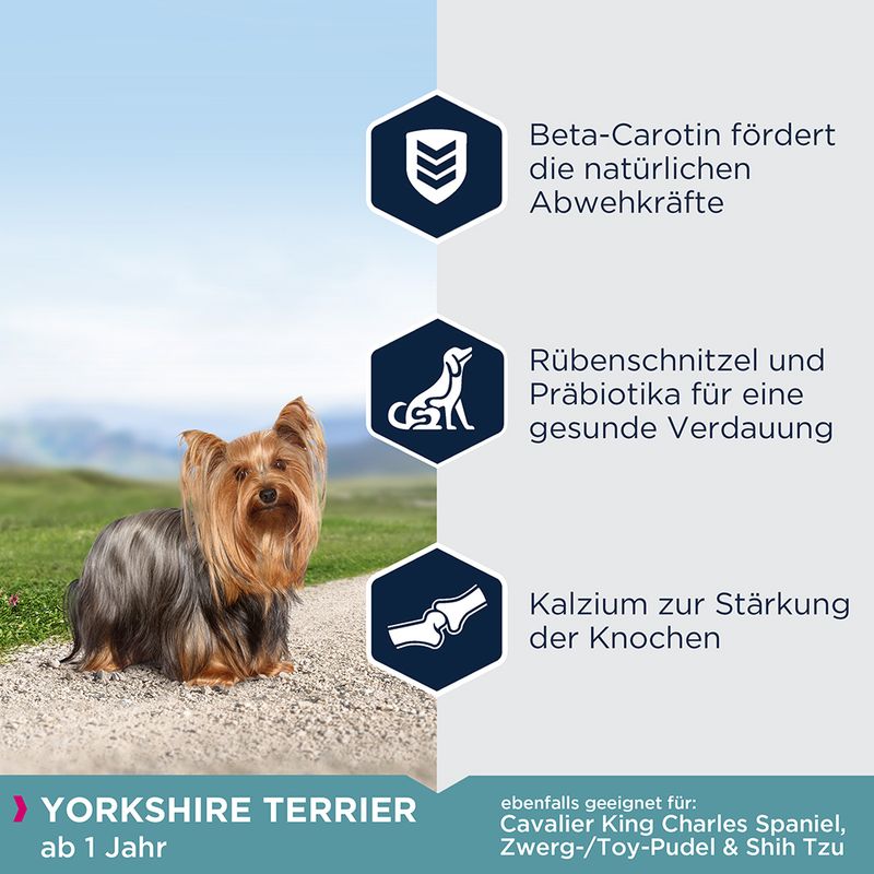 Eukanuba Adult Breed Specific Yorkshire Terrier