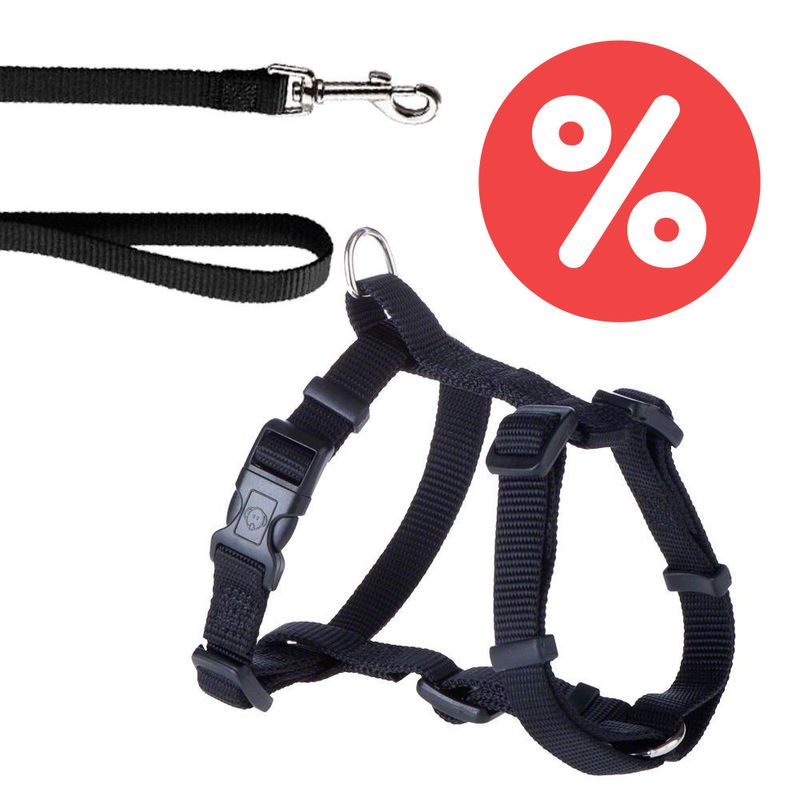 Sparset HUNTER Hundeleine + Geschirr Ecco Sport Vario Rapid schwarz