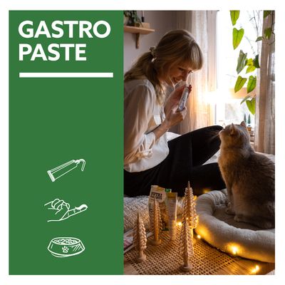 GimCat Gastro Intestinal Paste