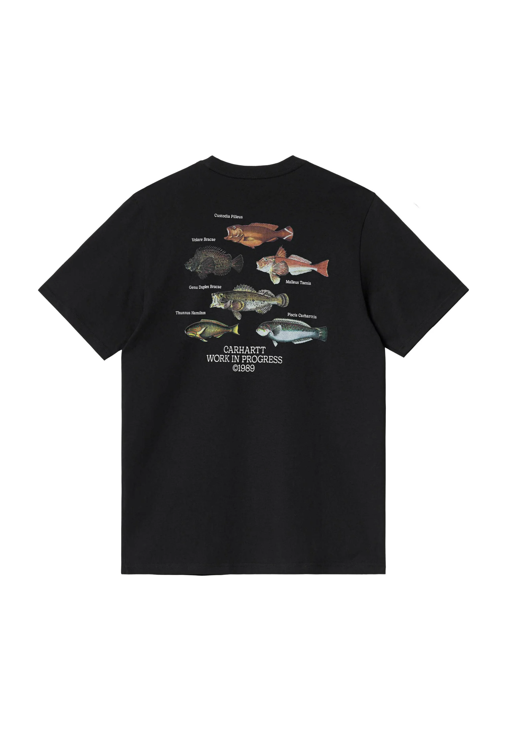 Carhartt WIP FISH - Camiseta con estampado
