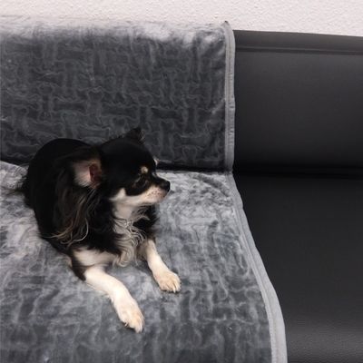 Kuscheldecke Bones XXL