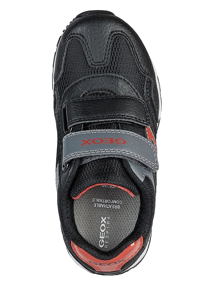 Geox Sneakers 
