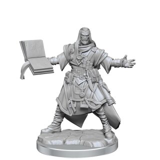Pathfinder Legendary Cuts: Male Human Wizard (2)